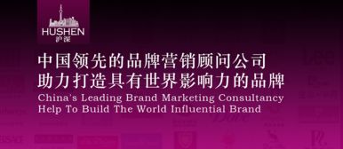 上海十大品牌策劃公司 滬琛品牌營銷策劃公司網(wǎng)頁設(shè)計(jì)